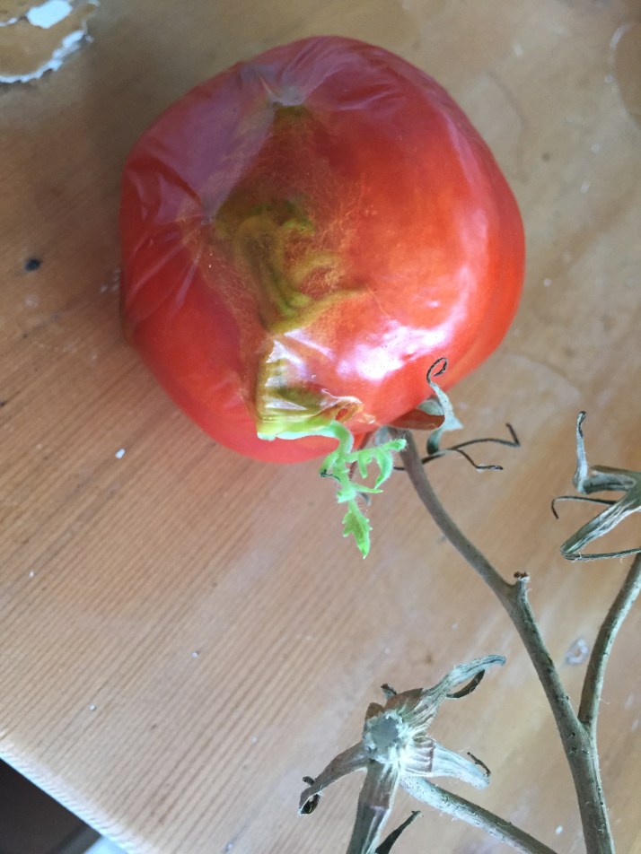 and life will go on and on and on